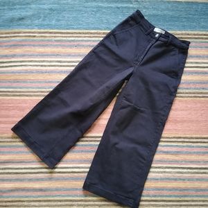 Everlane High Waist Wide Leg Crop Navy (4 ankle)